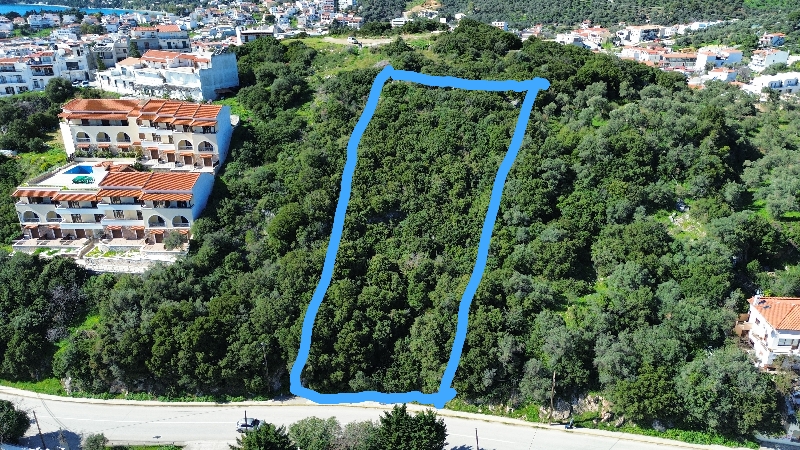 kotroni, skiathos, hotel, land, sale, development, investment